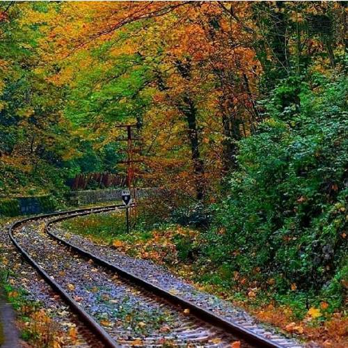 علیرضا فراهانی بدون پشیمون میشی تو با مردن من اسیر غصه میشی تو